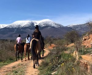 Paseos a caballo